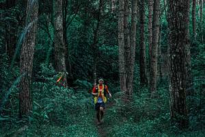 BIB: 
                            <button type="button" onclick="openModal(25238230)" class="btn btn-primary btn-sm float-right btn-popup" data-toggle="modal" data-target=".modal-high-quality">
                        <i class="fas fa-shopping-cart"></i> Add to Cart
                    </button>
                                            <button type="button" onclick="isThisMe(25238230, true)" class="btn btn-success btn-sm float-right btn-popup btn-isme hidden" data-toggle="tooltip" data-placement="bottom" title="นี่คือรูปของคุณใช่ไหม คลิกที่นี่เพื่อเอาเข้าอัลบั้ม">
                        <i class="fas fa-plus"></i> Add to album
                    </button>
                    <button type="button" onclick="isThisMe(25238230, false)" class="btn btn-warning btn-sm float-right btn-popup btn-isnotme hidden">
                        <i class="fas fa-ban"></i> Remove from album
                    </button>